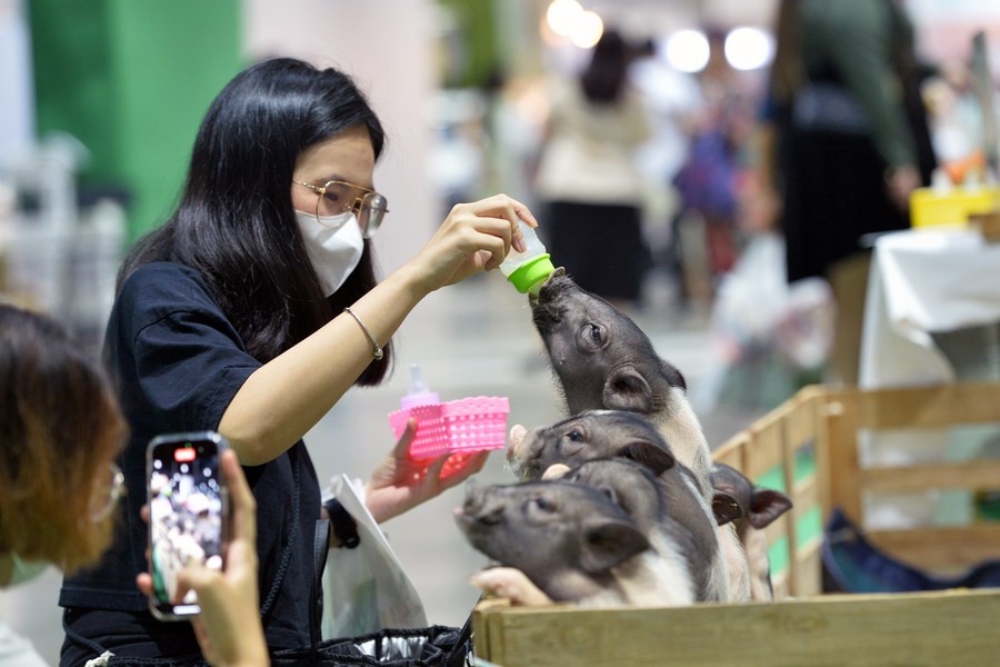 2025年泰国曼谷宠物用品展览会 Pet Expo Thailand